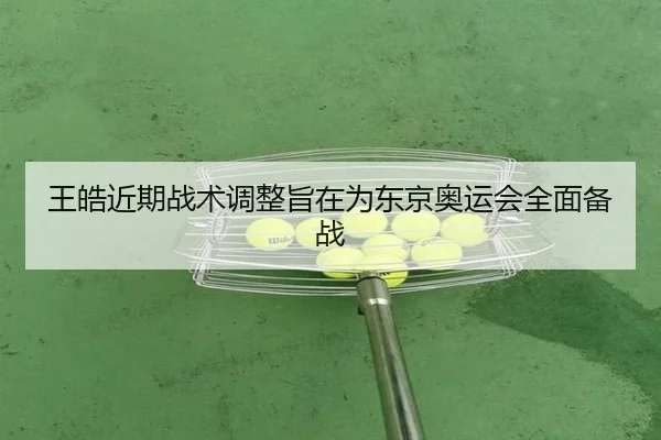 王皓近期战术调整旨在为东京奥运会全面备战