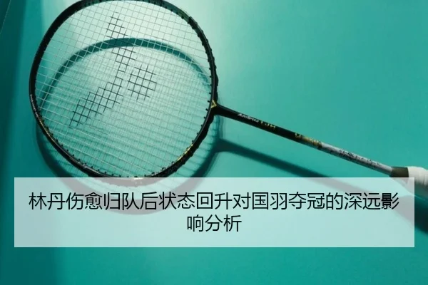 lin-dan-shang-yu-gui-dui-hou-zhuang-tai-hui-sheng-dui-guo-yu-duo-guan-de-shen-yuan-ying-xiang-fen-xi-2-532.jpg