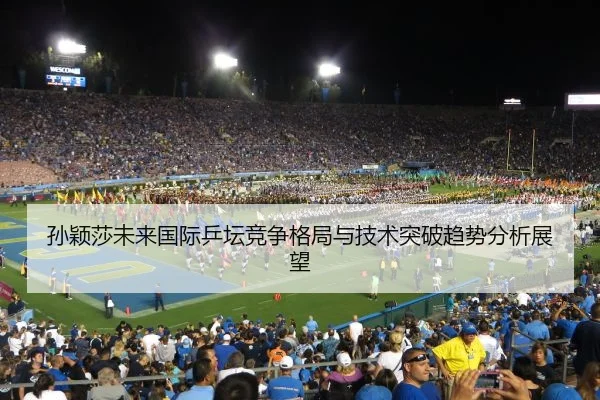 孙颖莎未来国际乒坛竞争格局与技术突破趋势分析展望